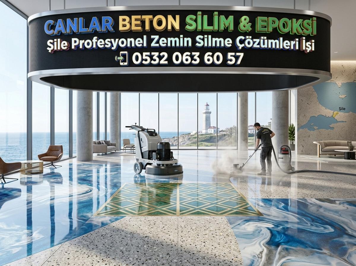 ŞİLE PROFESYONEL ZEMİN SİLME ÇÖZÜMLERİ İŞİ